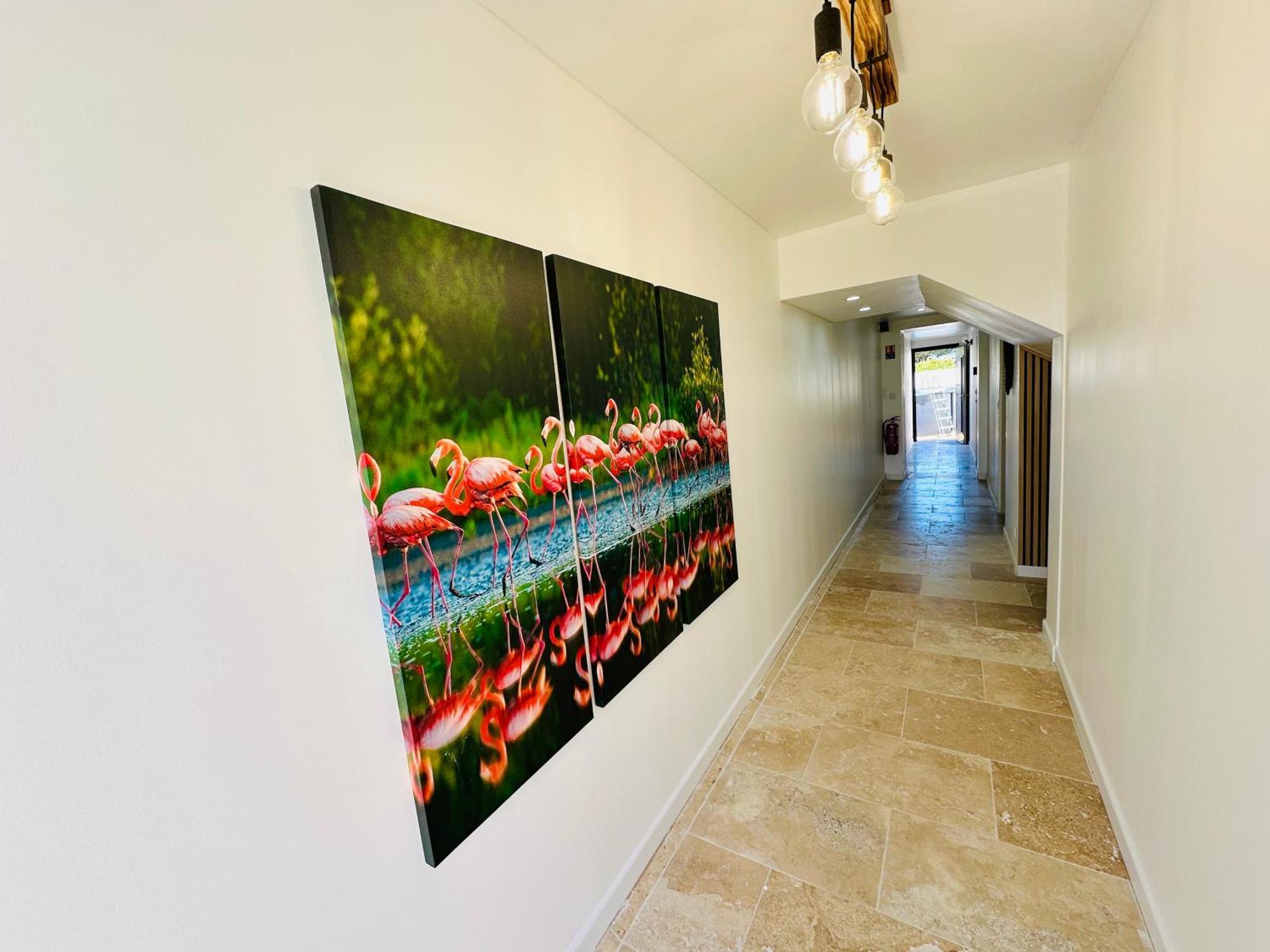 Les Appartements Du Mas - Rose Marie Aigues-Mortes Luaran gambar